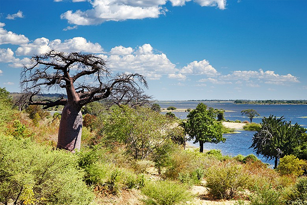 http://arttour.ru/images/country_logo/afrika/botswana.jpg