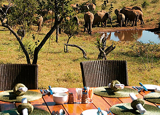 Royal Madikwe Luxury Safari Residence