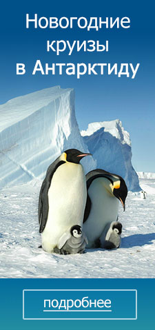 Новогодние круизы в Антарктиду
